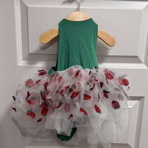 Scoots Tomato Tutu Dress